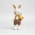 Handmade Crochet Bunny Boy Toy with Chick